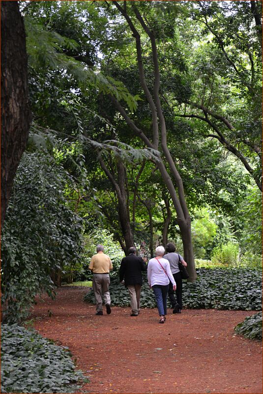 Arboretum path